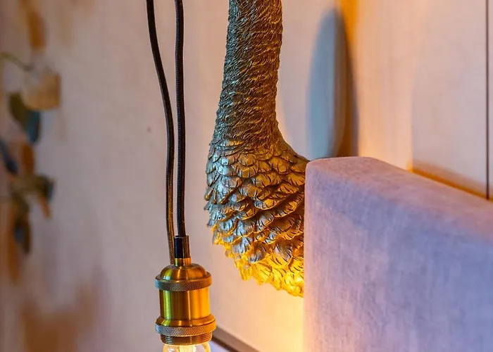 Tatil Evi Les Parentheses Occitanes - Les Pepites